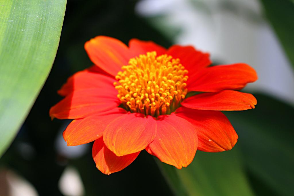 Garden Guesthouse Kampong Chhnang Dış mekan fotoğraf